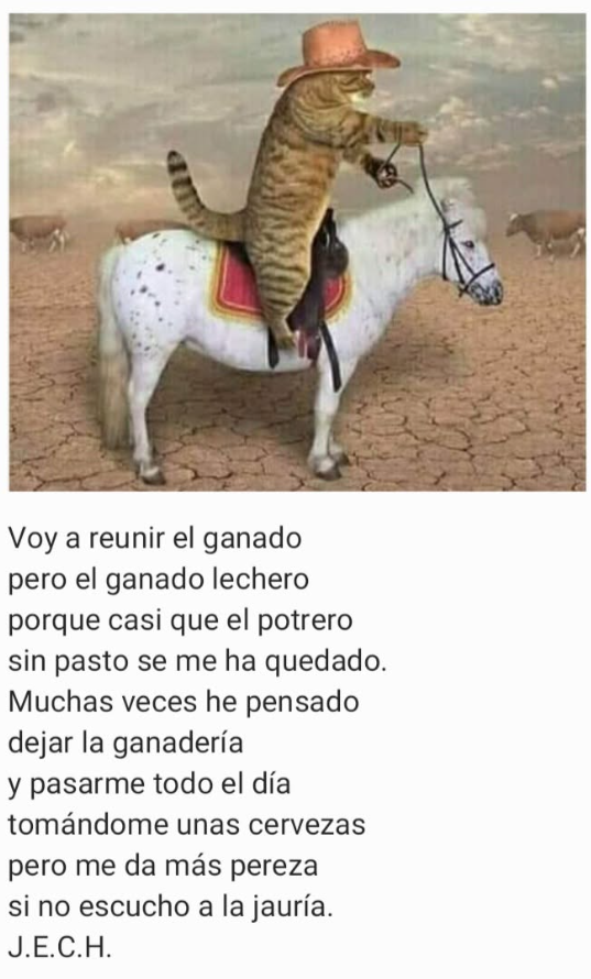 Poema sobre el ganado lechero firmado J.E.C.H.